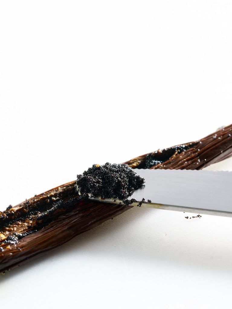 Bio Bourbon Vanilleschoten lange Bio Bourbon Vanilleschoten